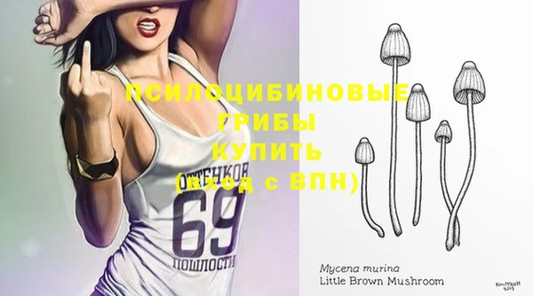 стафф Алзамай