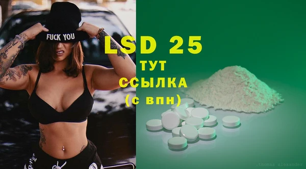 стафф Алзамай