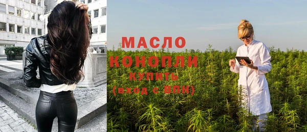 дмт Билибино