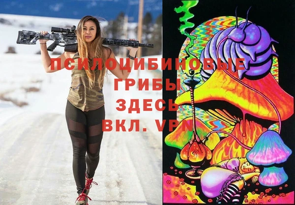 стафф Алзамай