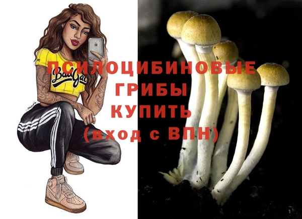 кокаин Алексеевка