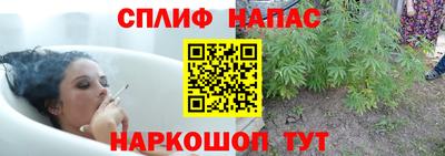 PSILOCYBIN Кумертау