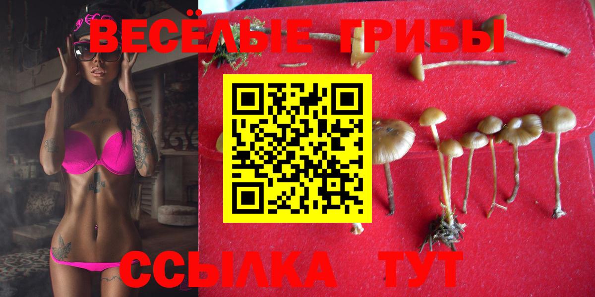 Изобильный  купить наркотик  Вход с VPN  Галлюциногенные грибы Psilocybine cubensis 