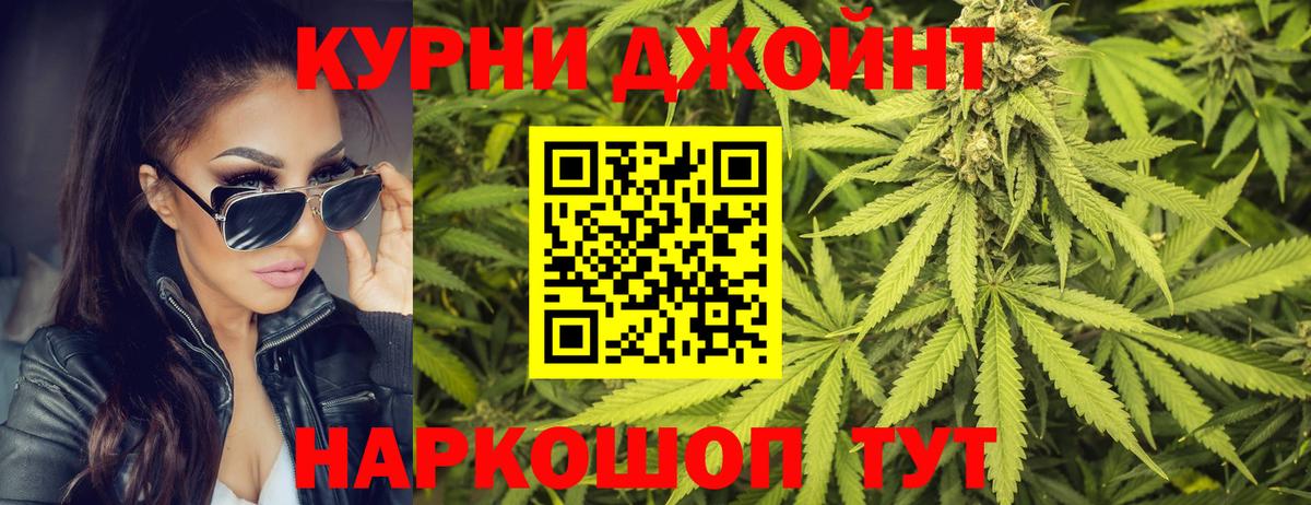 Канабис планчик Изобильный